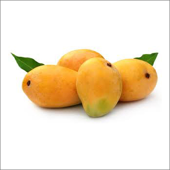 Organic Alphonso Mango