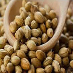 Organic Coriander