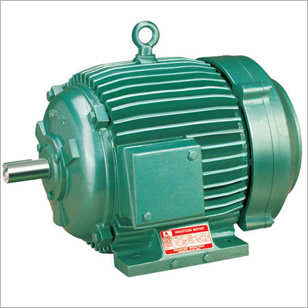 TEFC Induction Motors