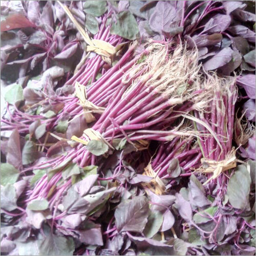 Fresh Vegetable
