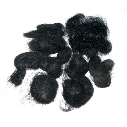 Hair Balls Hair Balls