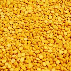Chana Daal