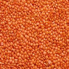 Masoor Daal