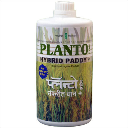 Planto Hybrid Paddy +
