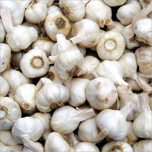 White Garlic