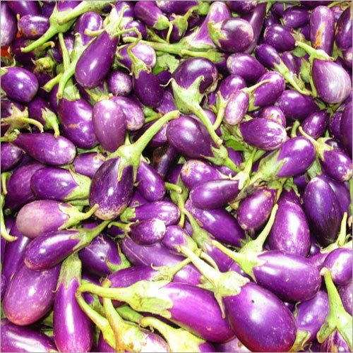 Cooked Fresh Brinjal