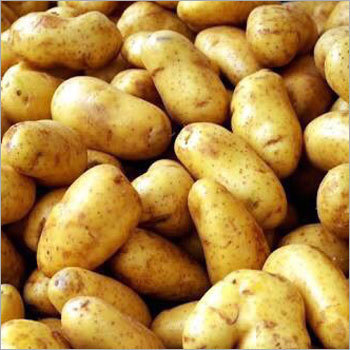 Fresh Potato