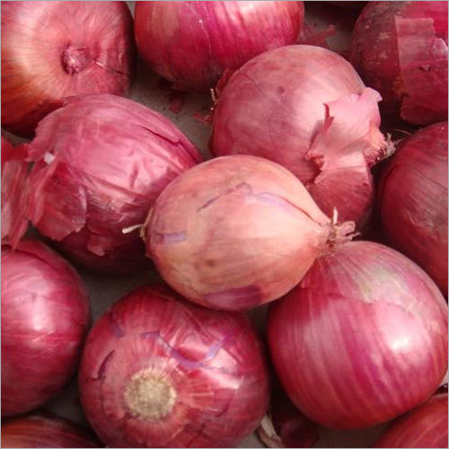 Red Onion