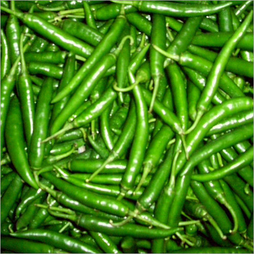 Green Chilli - Whole Green Preserved Vegetable, Food Grade Quality, Spicy and Other Taste, Common Cultivation Type