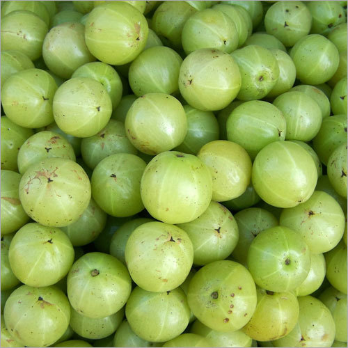 Green Fresh Amla