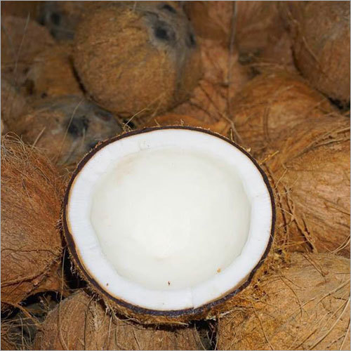 Brown Fresh Coconut