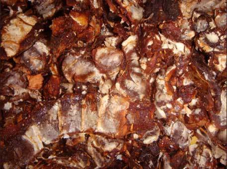 Tamarind
