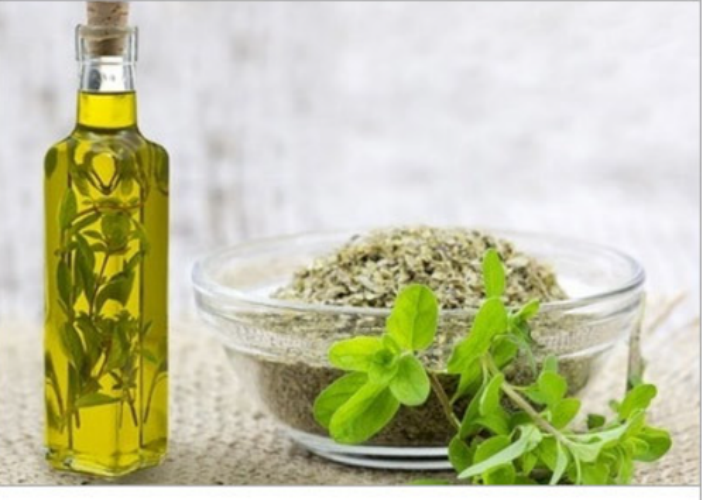 Marjoram Oil