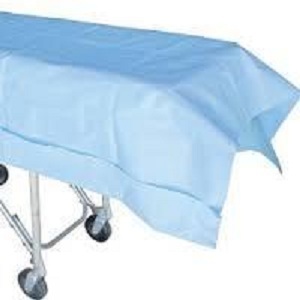 Draw Sheet - Non-Woven Variable Sizes Light Blue, Highly Absorbent Disposable