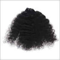 Indian Curly Hair