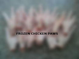 Frozen chicken Paws