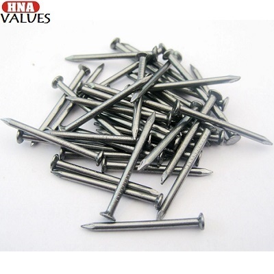 Stainless Steel Nails