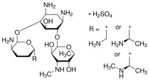 Gentamicin for peak identification