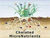 EDTA CHELATED MICRONUTRIENTS