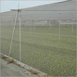 Agro Insect Net By AMIT AGROPLAST