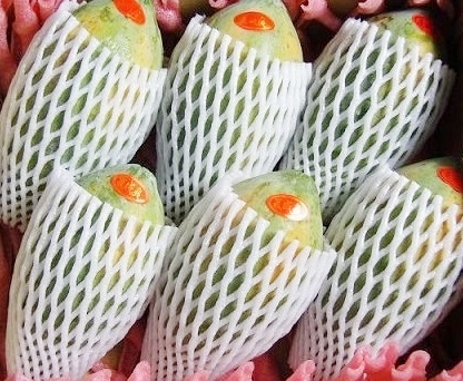 Fruit foam net