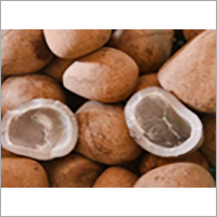 Dried Coconut (Copra)