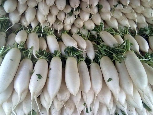 Radish