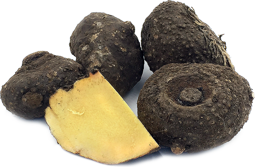 Fresh Yam