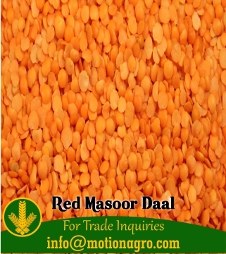 Red Masoor Dal / Red Lentils