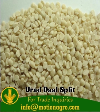 Urad Dal Split