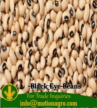 Black Eye Beans
