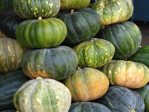 Fresh Pumpkin