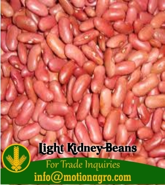 Light Kidney Beans