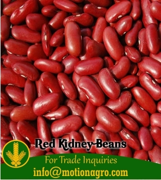 Red Kidney Beans