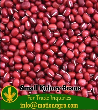 Small Kidney Beans