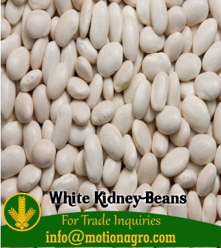 White Kidney Beans