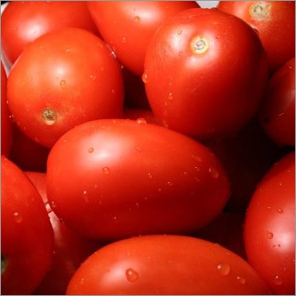 Cooked Fresh Tomato