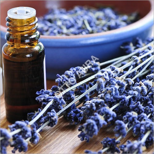 Lavender Essential Oil