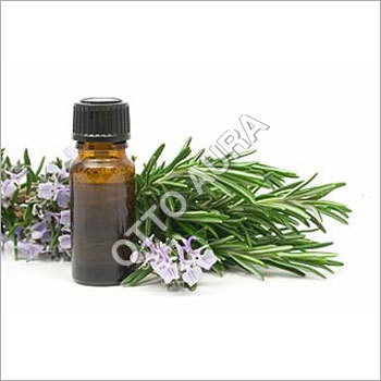 Rosemary Oil