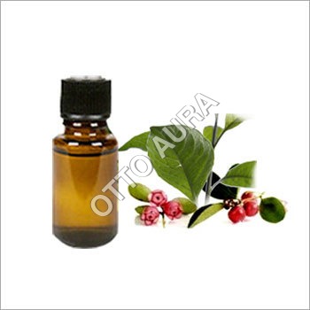 Wintergreen Oil