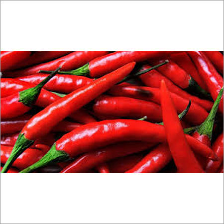 Indian Spices