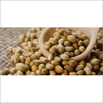 Coriander Seeds
