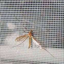 Mosquito Screens