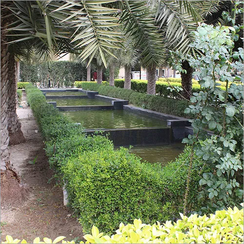 Garden Maintenance Service