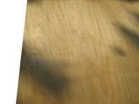 Birch Veneer - Quality A, B, C, D | Strong Screw Holding, Alkaline Resistant, Moisture Proof, Wear Resistant, Anti Cracking