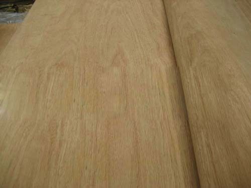 Red Canarium Veneer