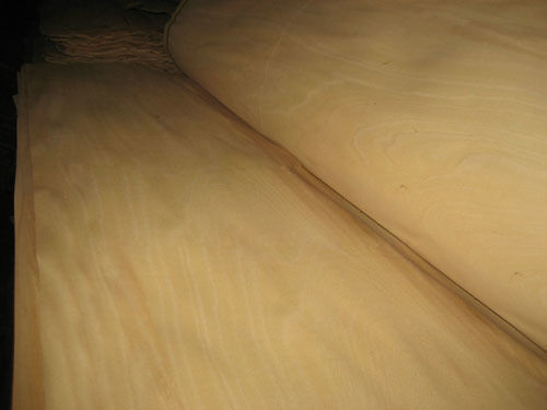 Beech Veneer