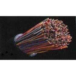 100 Pair Jelly Filled Unarmoured Cable
