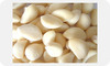 Fresh Garlic