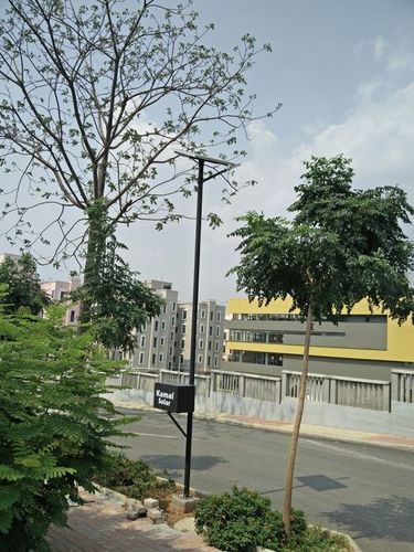 Solar Street Lighting